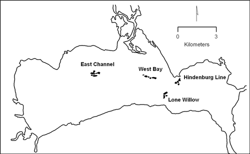 Figure 1. Locations of the four common reed stands in Lake Poygan, Wisconsin.
