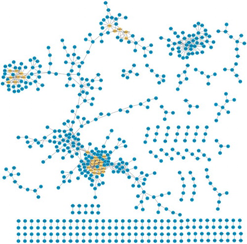 Figure 1. The composition of DCN which included 245 nodes and 845 interactions. Yellow nodes stood for the ego genes.