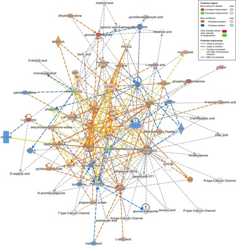 Figure 8 Network of “amino acid metabolism, cell-to-cell signaling and interaction, molecular transport” associated with key differential metabolites in the comparison of rtPA and CON groups in rats PFC with a score of 38 and 14 differential metabolites involved.