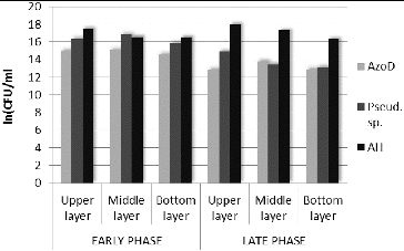 Figure 2. Distribution of the amount of key functional groups of microorganisms in the biofilm (azo-degrading bacteria (AzoD), aerobic heterotrophs (АН) and genus Pseudomonas (Pseud. sp.)). Data are obtained using plate count techniques.