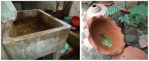 Figure 2 Example of outdoor containers with water (left) and positive with larvae (right). Photo credit: Epidemiology Unit, Ministry of Health, Sri Lanka.