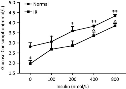 Figure 3. Effect of insulin on glucose consumption in normal and insulin-resistant L6 myotubes. Insulin-resistant L6 myotubes were induced by incubation with 25 mM glucose and 100 nM insulin for 24 h. These cells were serum deprived for 4 h and then incubated with or without a series of concentration of insulin for 48 h. The concentration of glucose in the medium was determined with a glucose determination kit. Data are means of six samples ± SEM. *p < 0.05, **p < 0.01 compared with untreated normal cells; ▵p < 0.05 compared with same concentration insulin treated normal cells. Normal: L6 myotubes; IR: insulin resistant L6 myotubes.