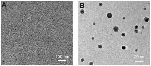Figure 3 Transmission electron microscopy images of Ag nanoparticles at different magnifications, (A) the lower image and (B) the higher image.