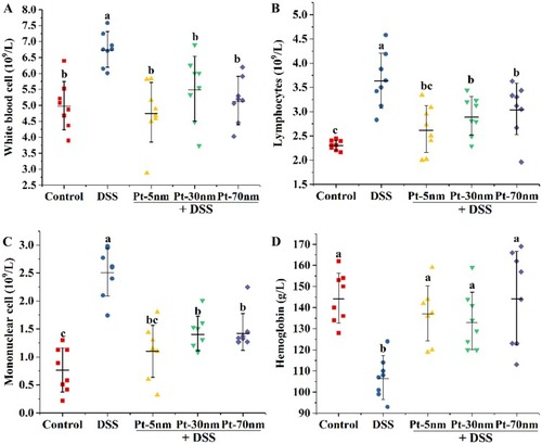 Figure 5 The peripheral hematological parameters: (A) white blood cells, (B) lymphocytes, (C) monocytes and (D) hemoglobin. Each point represents the result of one animal, with significance labeled by different lower-case letters (P < 0.05, one-way analysis of variance with Turkey’s honest significant difference test).