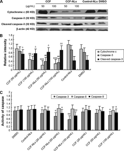 Figure 8 CCF-NL-induced cell death is associated with mitochondrial protein activation.Notes: (A and B) Changes in caspase-3 and cytochrome c in mitochondria were analyzed by Western blotting. The expression of cytochrome c and caspase-3 (#P<0.05, ##P<0.01, vs control) and caspase-3 was downregulated (**P<0.01, ***P<0.001, vs control) was downregulated by CCF-NLs, and cleaved caspase-3 protein (ΔP<0.05, ΔΔP<0.01, vs control) was increased by CCF-NLs. (C) The effects of CCF-NLs on the activities of caspase-3, -8, and -9 were determined using ELISA. Each point represents the mean ± SD (95% CI), which was obtained by averaging the values of three separate experiments (n=3). *P<0.05, **P<0.01, vs control.Abbreviations: CCF, Cotinus coggygria flavonoid; CCF-NLs, Cotinus coggygria flavonoid nanoliposomes; NLs, nanoliposomes; DMSO, dimethyl sulfoxide; SD, standard deviation; CI, confidence interval.