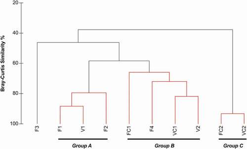 Figure 5. Resemblance of sampling stations demonstrated in Cluster Analysis dendrogram. Black lines indicate significantly different groups of samples at 5% level (SIMPROF test). Red lines indicate non-significantly different samples forming homogeneous groups. Groups A, B, and C are also indicated