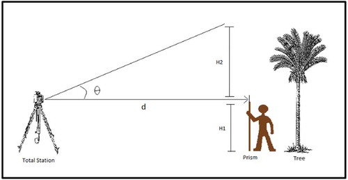 Figure 5. On site measurement of tree height using total station.
