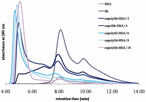 Figure 5. Gel filtration chromatograms of Hr-HSA copolymers; reaction conditions: 0.15 mM Hr, [Hr]Lys:[HSA]Lys = 2:1 (∼14 μM HSA), GL in concentrations varying from 2 to 10 mM.