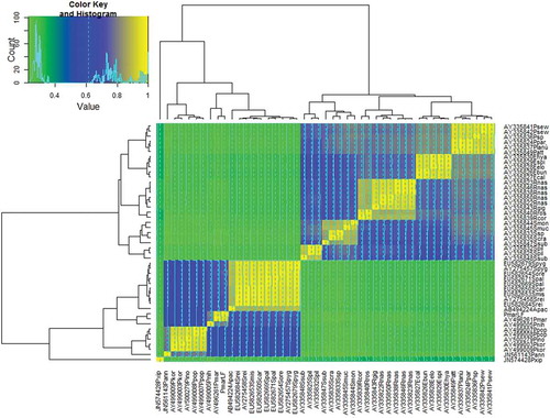 Figure 4. Heatmap produced on identity matrix of ITS2 rDNA alignment (Supplementary Table II). Cladograms were produced with the hierarchical clustering algorithm. Species abbreviations: Psew = Pareucalanus sewelli; Ppar = P. parki; Plan = P. langae; Patt = P. attenuatus; Ehya = Eucalanus hyalinus; Espi = E. spinifer; Eelo = E. elongatus; Ebun = E. bungii; Ecal = E. californicus; Rnas = Rhincalanus nasutus; Rgig = R. gigas; Rros = R. rostrifrons; Rcor = R. cornutus; Smon = Subeucalanus monachus; Smuc = S. mucronatus; Scra = S. crassus; Ssub = S. subcrassus; Spil = S. pileatus; Spyg = Skistodiaptomus pygmeus; Sore = S. oregonensis; Spal = S. pallidus; Scar = S. carolinensis; Smis = S. mississippiensis; Srei = S. reighardi; Apac = Acanthodiaptomus pacificus; Pmar = Pseudodiaptomus marinus; Pnih = P. nihonkaiensis; Ppol = P. polpesia; Pino = P. inopinus; Pkor = P. koreanus; Pann = P. annandalei; Pxip = Pleuromamma xiphias. LF = Lake Faro.