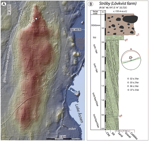 Figure 16. A. Hill shaded DSM of the isolated sediment-cored Grimslöv–Ströby drumlin, rising 12 m above the surrounding glacial lake plain deposits (NE corner of Lake Åsnen, south-central Småland). Colour coding is from ~160 (reddish) to 140 (blue) m a.s.l. The white circle in the northern tip of the drumlins marks an excavated section of the drumlin (Fig. 17); the white dot marks the position of a core drilling through the drumlin sediments (43 m to bedrock). LiDAR data provided by Lantmäteriverket, Sweden; ©Lantmäteriverket i212/927. B. Sediment log from the trench marked by the white circle in (A), showing glaciotectonically displaced glaciolacustrine sediments below a draping till. Lithofacies codes according to Table 1. Green planes in stereonet indicate strike and dip of high-angle bedding surfaces, while the red plane represents strike and dip of the thrust plane in the lower part of the section. Glaciotectonic stress was from the NNW. OSL ages are according to Möller & Murray (Citation2015).