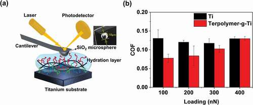 Figure 4. (a) The schematic illustration of the tribological tests, using ball-on-disk mode. (b) The comparison of COF for the different substrates under different normal loads