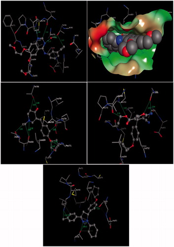 Figure 3. Three-dimensional (3D) interactions of erlotinib (upper panel), compounds 6b (middle left panel), 7 (middle right panel), and 8b (lower panel) with the receptor pocket of EGFR kinase. Hydrogen bonds are shown as green lines and CH–π interactions as dotted lines.