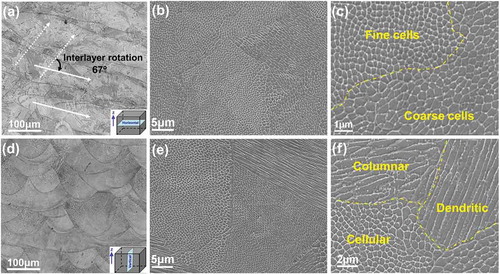 Figure 3. Representative OM and SEM images taken from the horizontal (a)–(c) and vertical (d)–(f) cross-sections of the AF specimen.