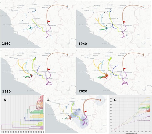 Figure 4. Phylogeographic scenario of LASV spread in Guinea, Liberia, Mali and Sierra Leone based on analysis of the polymerase (L segment, 6678 nt). See Figure 3 for details.