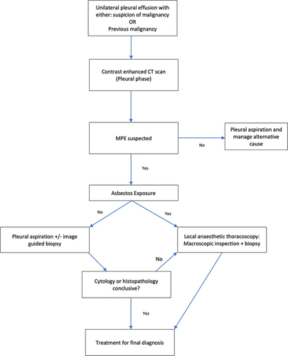 Figure 3b. Authors suggested pathway for the investigation and management of suspected malignant pleural effusion.