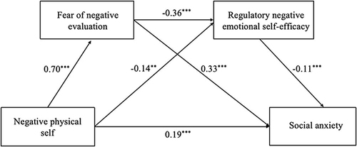 Figure 1 The chain mediated model of Fear of negative evaluation and Regulatory negative emotional self-efficacy (**p <0.01, ***p <0.001).