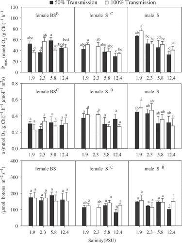 Fig. 1. Photosynthetic characteristics for female and male Chara canescens originating from NS and female plants collected from BS populations incubated in different irradiance – salinity regimes. The effect of location, irradiance and salinity was tested by a three-way ANOVA. Different capital letters indicate significant differences between clones and different lower case letters significant treatment effect within the locations (one-way ANOVA, Tukey post-hoc test, p<0.05).