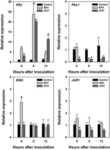 Figure 4. Relative gene expression in tomato plants after infection with Pseudomonas syringae pv. tomato DC3000. Expression analysis of genes PR1, PAL1, EIN2, and JAR1 at 0, 6, and 12 h after inoculation. Actin was used as an internal control. Asterisks on the bars indicate significant differences (p < .05) compared with the control according to the least significant difference test.