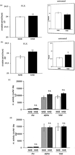 Figure 2. Circadian period (tau) and wheel-running activity rhythms in fluoxetine-treated HAB and NAB mice. During chronic fluoxetine treatment HAB mice showed a longer circadian period (tau) than NAB mice both under (a) light-entrained (LD) and under (b) free-running (DD) conditions as compared with no treatment (previously reported in (Citation23) and reprinted here in inserts (with permission from Annals of Medicine). No differences in the total amount of wheel-running activity per day between HAB and NAB mice was detected, nor during either their active (alpha) or inactive (rho) under (c) light-entrained and (d) free-running conditions (n= 8–16 per group). **p < 0.01, n.s. (not significant), p > 0.05. All data are displayed as mean ± SEM.