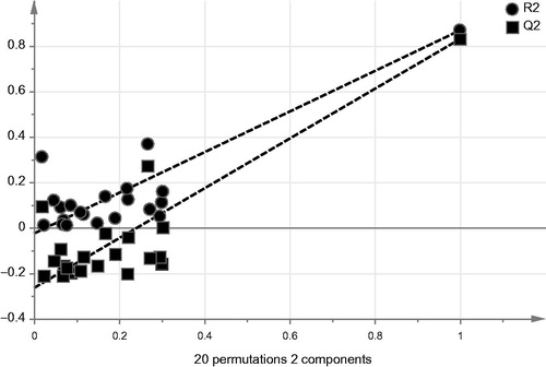 Figure 6. Permutation plot obtained by calculation of random order of affinity coefficients against the original set of descriptors. The model is not valid unless the goodness of fit values (R2 and Q2) at left are below the two reference points on the right and also the regression line of fir (Q2) should intersect y-axis at or below zero point.