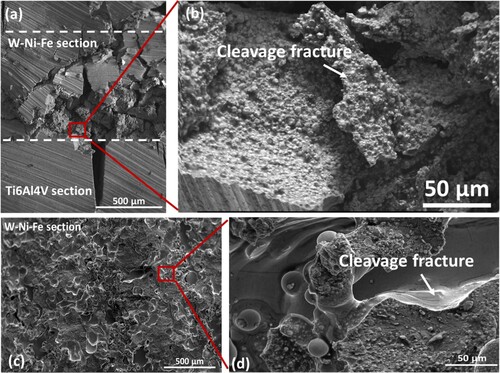 Figure 11. Fractography of the DED processed Ti6Al4V-W7Ni3Fe bimetallic, layered specimen – (a) transverse sample; (b) Zoomed image of the selected region from (a). (c) longitudinal sample; (d) Zoomed image of the selected region from (c).