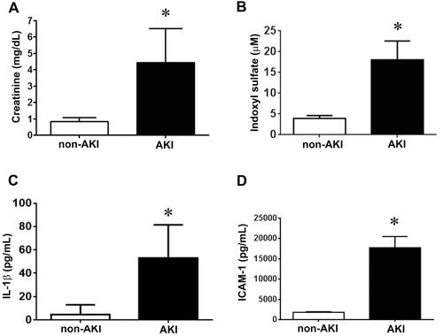 Figure 1 AKI stimulates creatinine, indoxyl sulfate, IL-1β, and ICAM-1 production. (A) Plasma creatinine levels in patients with and without AKI. n = 25 in each group. (B) Plasma was collected and assayed for indoxyl sulfate by chromatography. n = 6 per group. (C and D) The amounts of IL-1β and ICAM-1 in the plasma were determined by using ELISA kits according to manufacturer’s instructions. n = 10 per group in IL-1β assay, n = 20 per group in ICAM-1 group. Data are expressed as mean ± SEM, *p < 0.05 vs the non-AKI l group.
