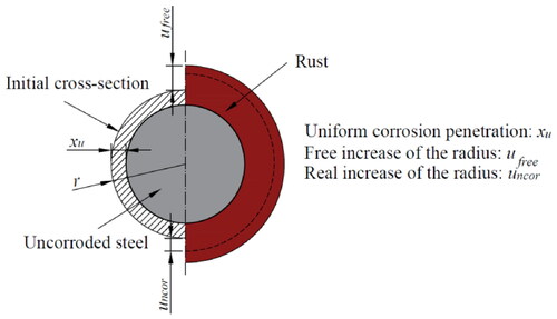 Figure 8. Physical interpretation of the variables in the corrosion model under uniform corrosion (after Lundgren, Citation2005).