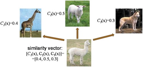 Figure 16. Schematic of representation by similarity. Novel class (llama) is represented as a vector of probabilities of three well-known classes (giraffe, sheep, and dog) to which a novel example belongs.