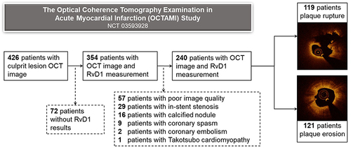 Figure 2 Study flow chart. OCT, optical coherence tomography; RvD1, resolvin D1.