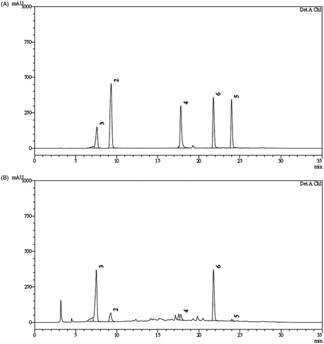 Figure 3. Representative chromatograms of (A) standard mixture and (B) methanolic extract of S. cumini seeds.