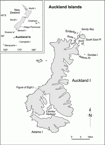 Figure 1  Auckland Islands showing the main breeding islands for NZ sea lions: Enderby, Dundas and Figure of Eight. Inset: New Zealand's sub-Antarctic area.