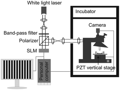 Figure 2. Schematic diagram of the setup of an NIWOP system that is used for long-term recording of cell membrane topography.