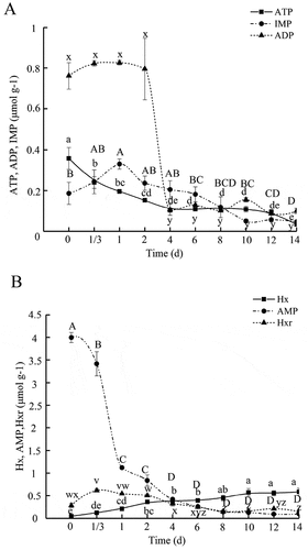 Figure 1. ATP and related endogenous degradation products of PYAM during iced storage