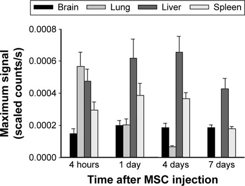 Figure 5 Quantification of the fluorescent signal intensity in organs of tumor-bearing mice after MSC-675 injection.Notes: The distribution of systemically injected MSC-675 (1×106 cells) through the tail vein of tumor-bearing mice was measured by using the Maestro Imaging System and quantified at each time point. Fluorescent signal intensity is represented as the mean ± SEM (n=3/group).Abbreviations: MSC, mesenchymal stem cell; MSC-675, NIR675 labeled MSCs; NIR675, NEO-LIVE™-Magnoxide 675 nanoparticles; SEM, standard error of the mean.