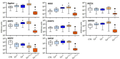 Figure 4. Box whisker plots representing mRNA levels of other histone modifier genes in the experimental treatments. The horizontal line within the box indicates the median (plus sign locates the mean), the boundaries of the box the 25th and 75th percentiles, and the whiskers the highest and lowest results. Asterisks (*) and squares (■) denote significant statistical differences (kruskal-Wallis; p-value <0.05) in gene expression in respect to the control, and F0 naïve (Cu−/+) treatments, respectively.