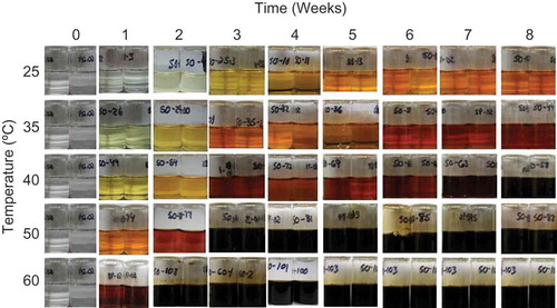 FIGURE 2 Color comparison of ascorbic acid samples over time held at various temperatures with 50 mol water/mol solid initial moisture.