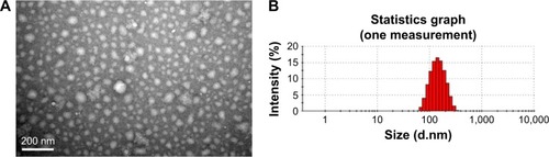 Figure 4 The (A) shows the TEM image of TMC NPs, and (B) shows the hydrodynamic size distribution of TMC NPs in aqueous solution.Note: Bar represents 200 nm.Abbreviations: TEM, transmission electron microscopy; TMC, N-trimethyl chitosan; NPs, nanoparticles.