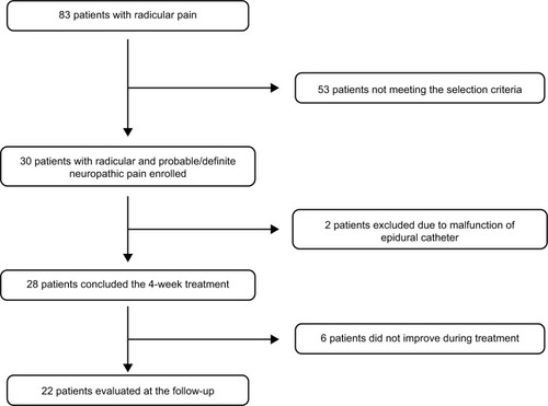 Figure 2 Study profile.