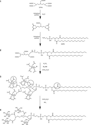 Figure 1 The synthetic routes of tetravalent galactosylated diethylenetriaminepentaacetic acid-distearoylphosphatidylethanolamine (4Gal-DTPA-DSPE) conjugates.