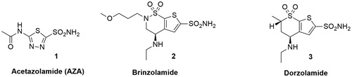 Figure 2. Chemical structures of Acetazolamide (AZA) 1, Brinzolamide 2 and Dorzolamide 3.