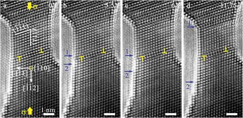 Figure 1. Sequential TEM images showing surface atom diffusion in a Ag nanocrystal with preexisting dislocations. (a) A 4.3-nm Ag nanocrystal with preexisting dislocations (marked by ‘T’) loaded along [1¯1¯2] under a strain rate of 10−3 s−1. (b) Formation of two surface steps (steps 1 and 2) on the {111} surface of the nanocrystal close to the preexisting dislocations. (c–d) Continuous movement of surface steps towards the nanocrystal end. The surface steps are tracked by the arrows in the picture. All scale bars are 1 nm.