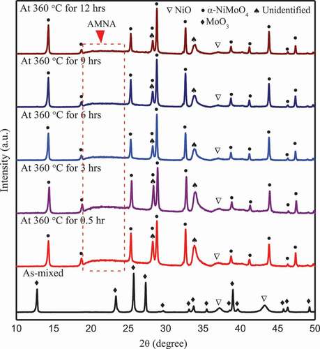 Figure 3. XRD patterns for the composite powders of NiO and MoO3 before and after immersion at 360 °C for 0.5, 3, 6, 9, 12 h.