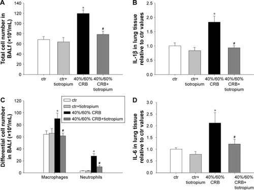 Figure 7 The effect of tiotropium bromide on lung inflammation following 40%/60% of CRB.Notes: Tiotropium inhalation prior to 40%/60% of CRB significantly attenuated the increase in total cell number in BALf (A), by reducing both macrophage and neutrophil counts (C). Tissue protein levels of IL-1β and IL-6 returned to ctr values following tiotropium inhalation (B and D). Data presented as mean ± SEM. White bar, ctr; gray bar, ctr plus tiotropium; black bar, 40%/60% of CRB and dark gray bar, 40%/60% of CRB plus tiotropium. *P<0.05 to ctr and #P<0.05 to 40%/60% of CRB. n=5–8 per group.Abbreviations: CRB, combined resistive breathing; BALf, bronchoalveolar lavage fluid; ctr, control; SEM, standard error of the mean.