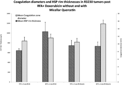 Figure 6. Comparison of RFA coagulation diameter and peri-ablational Hsp70 expression for varied RF applications combined with liposomal doxorubicin and/or micellar quercetin. Significantly greater coagulation gains are achieved in 90 °C × 2 min treatment group, 15.3 ± 1.0 mm, when combined with doxorubicin and micellar quercetin as compared to 70 °C × 5 min, 10.5 ± 0.5 mm, when combined with doxorubicin and micellar quercetin. RF + D, radio-frequency ablation plus liposomal doxorubicin; DMicQ, liposomal doxorubicin plus micellar quercetin.