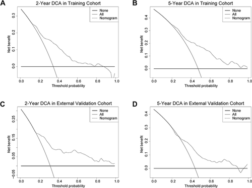 Figure 4 DCA plots for the nomogram in predicting the 2-year DFS (A) and the 5-year DFS (B) in the training cohort and the 2-year DFS (C) and the 5-year DFS (D) in the external validation cohort.