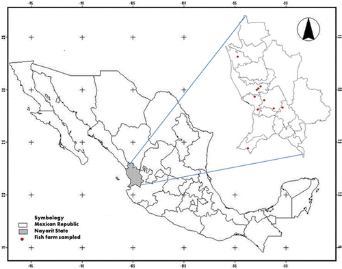 Figure 1. Location of fish farms in sample: north-western Pacific coast, Nayarit State, Mexico.