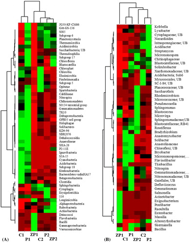Figure 4. Heatmap analysis of bacterial community at class (total abundance) level (A) and genus (relative abundance >1%) level (B).Note: *UB, uncultured bacterium.