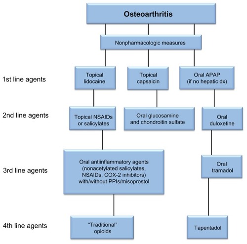 Figure 1 Algorithm for topical/oral pharmacologic approach to the treatment of painful osteoarthritis.