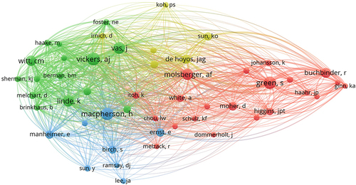 Figure 7 Network map of the co-cited author.
