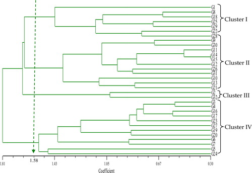 Figure 1. Dendrogram resulting from UPGMA cluster analysis, based on genetic relationships generated by quantitative traits of 32 coloured rice accessions. Note: G1 = MR219, G2 = MR263, G3 = DL11, G4 = DL12, G5 = Ceylon8, G6 = Ceylon31, G7 = CTG680, G8 = Hitam, G9 = H10, G10 = Panbira, G11 = Taitong16, G12 = Hashikalmi, G13 = DV 107, G14 = DV112, G15 = DZ193, G16 = DNJ128, G17 = DNJ 129, G18 = Padi Beranti, G19 = Padi Randau, G20 = Tahi Ayam, G21 = Tidong Tambunan, G22 = Pulut Merah 3, G23 = Dular (CI-18006), G24 = Tomoemochi, G25 = Dendam Berahi, G26 = Kataktara, G27 = Ringan Bawang, G28 = Samambo, G29 = Pulut A, G30 = YTM15, G31 = MRQ76, G32 = MRQ74.